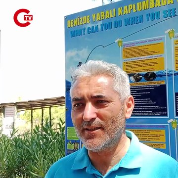 Sinyali kesilen caretta caretta Tuba, İztuzu Plajı'na döndü