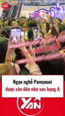 Ngạo nghễ Pamiuoi được săn đón như sao hạng A