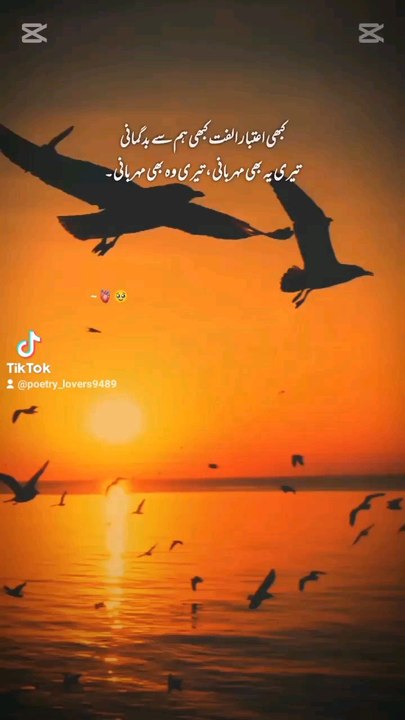 hayee lines 🥀 ✨🙃