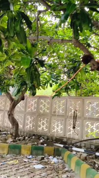 Demand accountability and safer spaces! #GhaziabadPolice #CrimeAlert #ParkingCrimes #PoliceNegligence #PublicSafety #JusticeNeeded