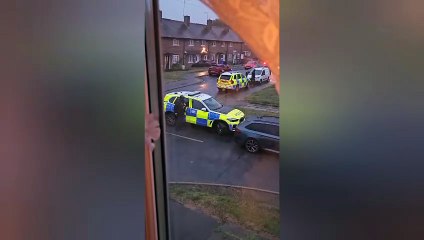 Armed officers surround home in Lupton Road, Sheffield