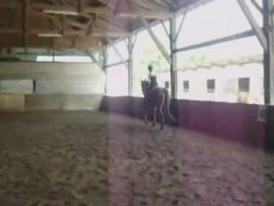 Claire & Nativa
