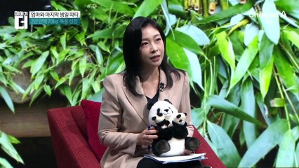 엄마와 ‘마지막 생일 파티’…두 돌 맞은 푸바오 동생들