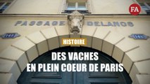 L’histoire des « vacheries parisiennes »