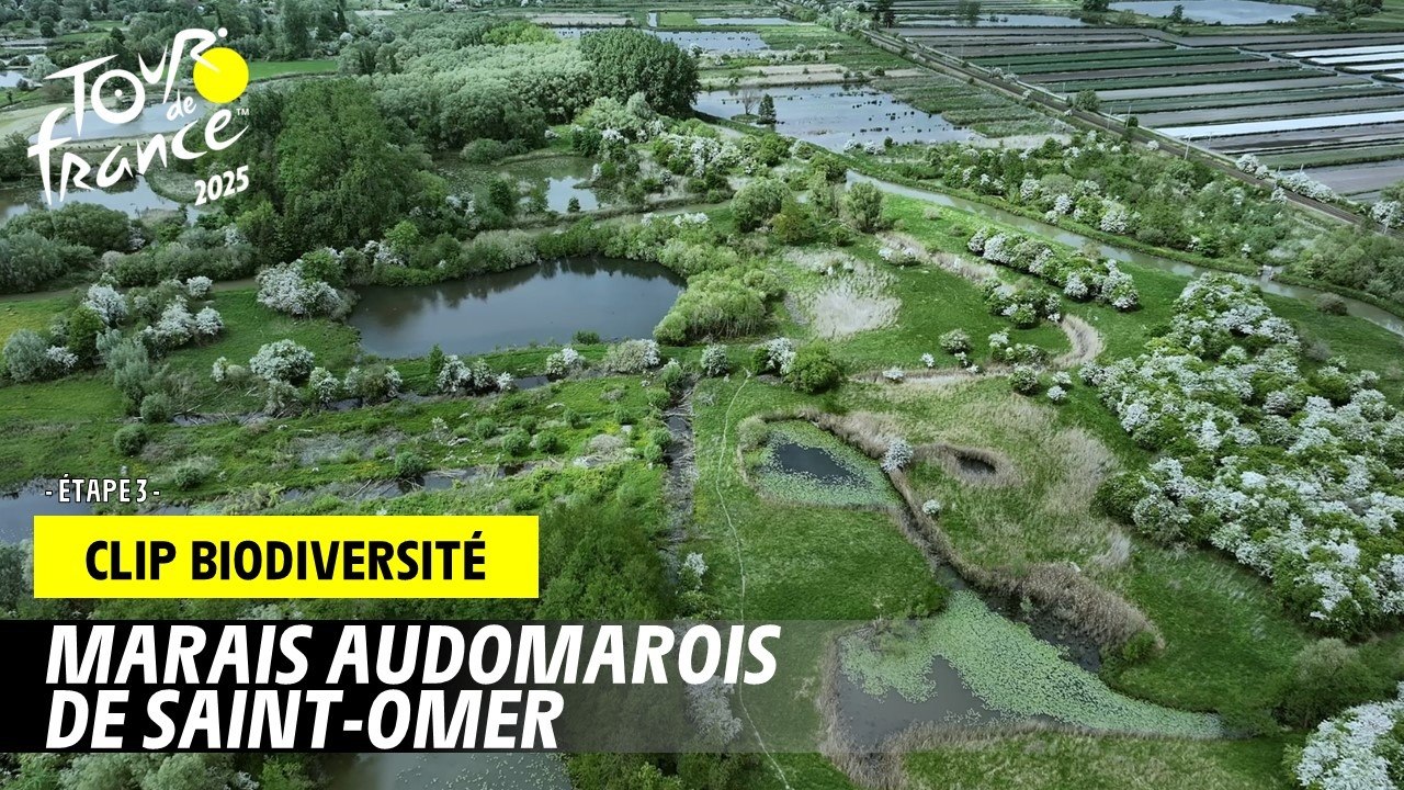 Marais Audomarois de Saint-Omer - Tour de France 2025
