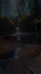 ssstik.io_@christan531_1751858357497