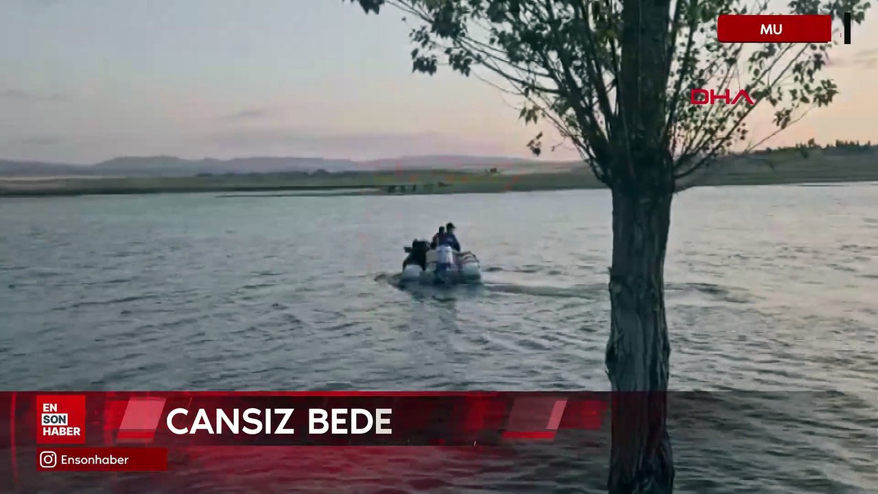 Muş'ta serinlemek için girdiği baraj gölünde boğuldu