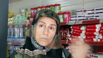 Antalya'da aslan, Sivas'ta ayı! 'Bende bir tedirginlik yok, karşı karşıya bile gelmek isterim'