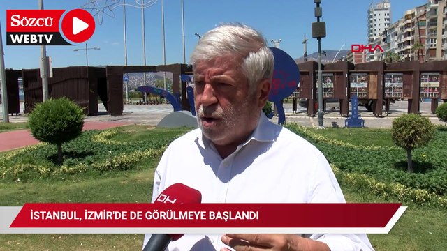 'İklim değişikliği ile beraber keneler İstanbul, İzmir'de de görülmeye başlandı'