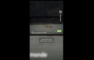 "Notre nouveau monde - Quand la terre nous surprend" sur France 2 : quand la Nature s'adapte au réchauffement de la planète