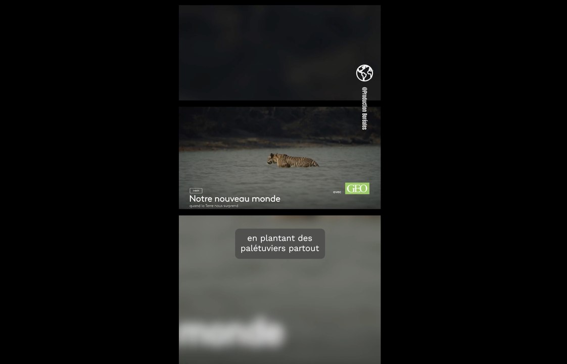 "Notre nouveau monde - Quand la terre nous surprend" sur France 2 : quand la Nature s'adapte au réchauffement de la planète