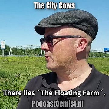 #335.2 - The City Cows - JACK&JOZEF - PodcastGemist.nl