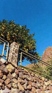 Canary islands - nov 2022 #canarias #islascanarias #lanzarote #masca #tenerife #grancanaria #photog