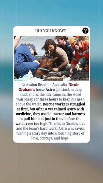 She held her horse’s head above mud for 3 hours to save him ❤️