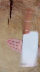 Little Foodie Genius: CEO Discovers His Child 🍽️