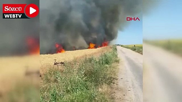 Ankara'da buğday tarlasında yangın; 40 dönüm ekili alan zarar gördü