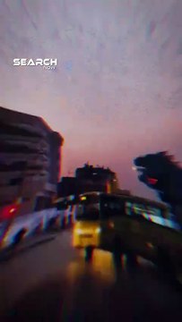 الذباب المصري يجتاح إسرائيل… صدفة بيئية أم رسالة غير مرئية