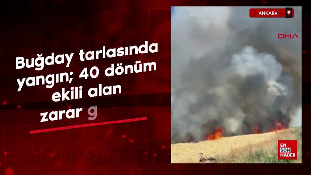 Ankara'da buğday tarlasında yangın; 40 dönüm ekili alan zarar gördü