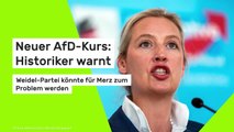 Neuer AfD-Kurs: Historiker warnt - Weidel-Partei könnte für Merz zum Problem werden