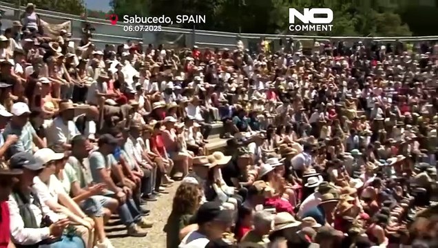 Schau: Einheimische ringen wilde Pferde beim Rapa das Bestas-Festival in Spanien