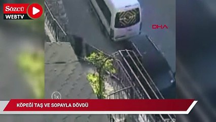 Köpeği taş ve sopayla dövdü
