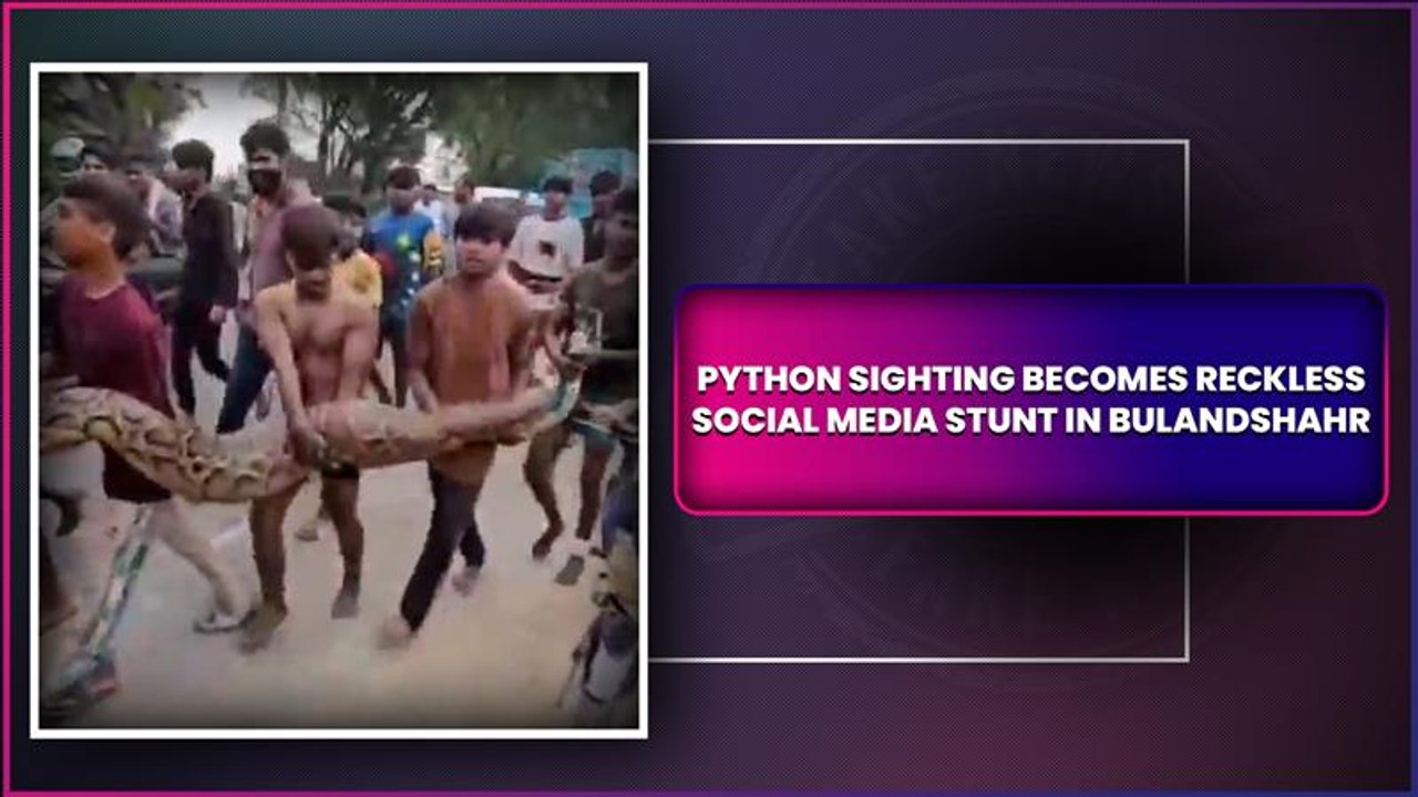 UP: Children Carry Python In Bare Hands For Reels & Selfies In Bulandshahr, Video Goes Viral
