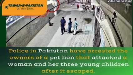 Pet Lion Attack in Lahore | Woman and Children Injured | Loin Arrested | Pakistan Wildlife Crackdown