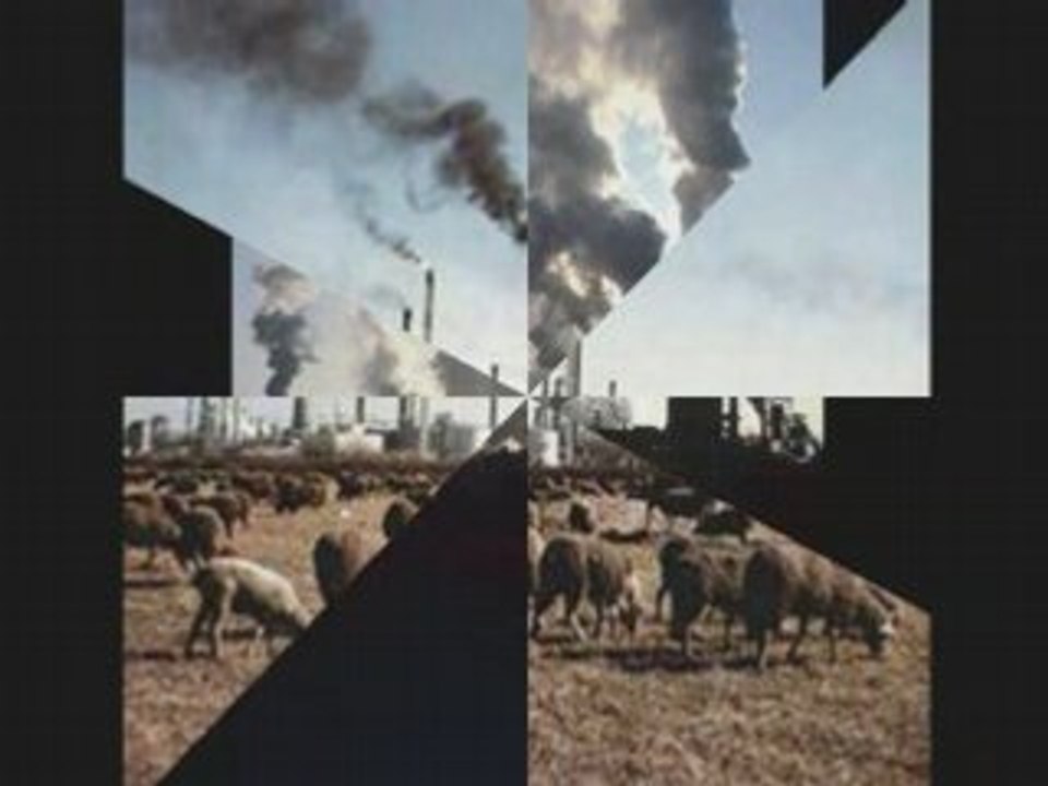 la pollution(pucca)