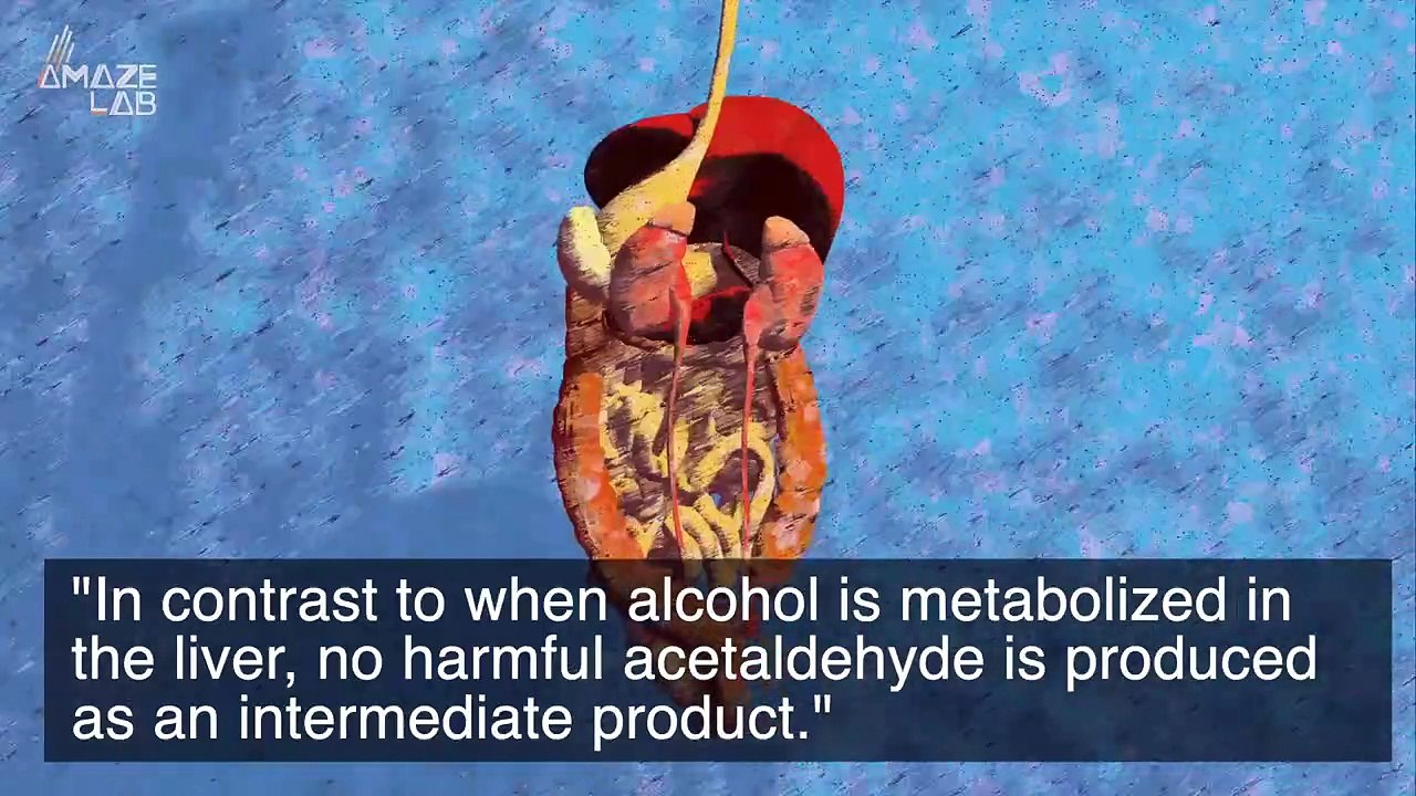 Could This Be The End of Hangovers? Science Thinks So