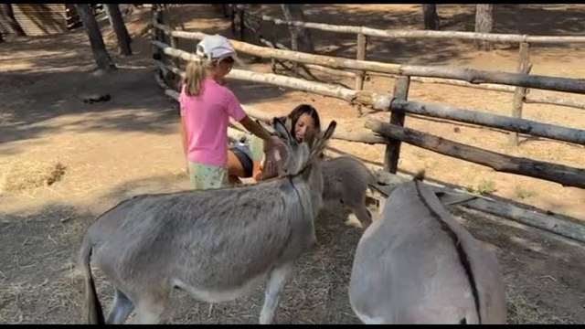 Un parco naturale con animali autoctoni per il Forte Village
