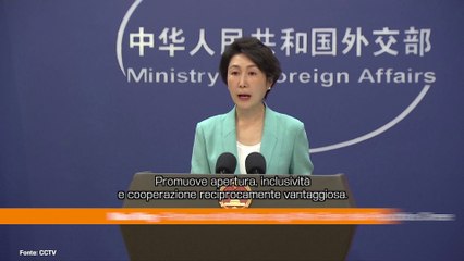 Dazi, Cina "Il protezionismo non porta da nessuna parte"