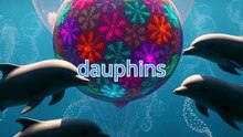 Les Dauphins et leur toxine hallucinogène