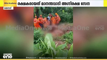 വയനാട് മാനന്തവാടി എരുമത്തെരുവിൽ കുഴിയിൽ വീണ പശുവിനെ രക്ഷപെടുത്തി; വീണത് 7 ദിവസം മുമ്പ്