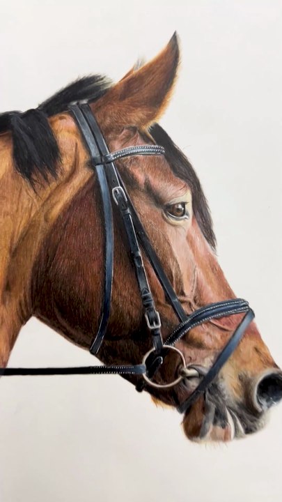 Dessin réaliste d’un cheval réalisé avec les crayons de couleur