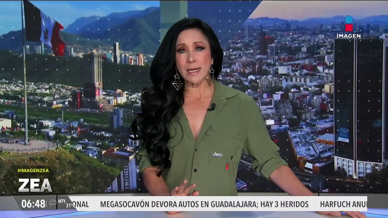 400 mil toneladas de sargazo arribarán a las costas del Caribe este 2025