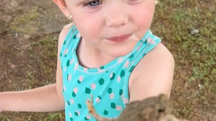 Little girl tries to separate two frogs while unknowingly disrupting their private moment