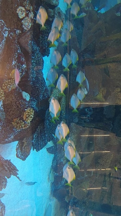 Jeddah King Abdulaziz international airport