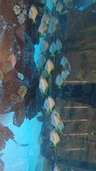 Jeddah King Abdulaziz international airport