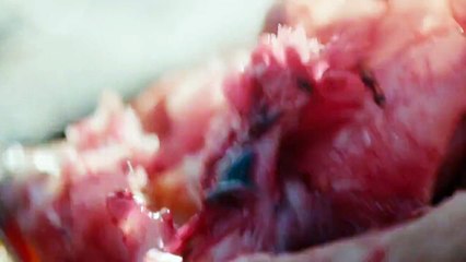 Vikings Season 3 Episode 1: Epic Journeys & New Conquests ⚔️