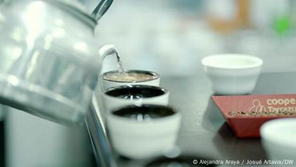 Costa Rica - Café sin tala ni emisiones