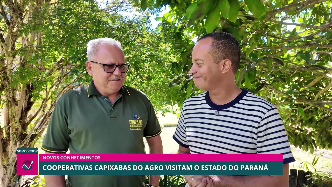 Cooperar e aprender