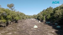 Flood debris ‘raft’ on Ghinni Ghinni Creek near Taree