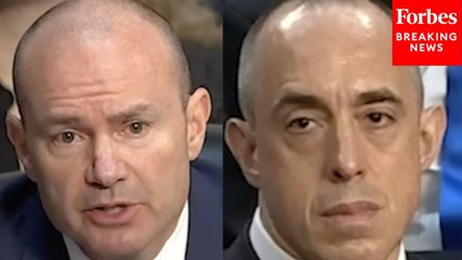 Mike Lee Questions Emil Bove On Presidential Authority To Remove Executive Branch Officials