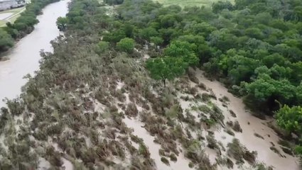 Texas floodwaters send trees crashing into river