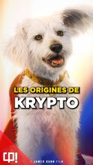 Tout savoir sur Krypto, le super chien de Superman 🐶