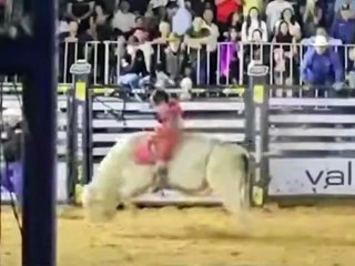 Peão de rodeio morre após ser pisoteado na cabeça por touro