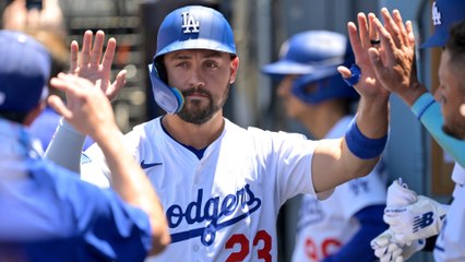 California Confirms Ban on Daily Fantasy Sports and Betting