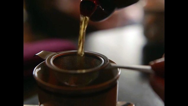 «Per le ragazze coraggiose». Arriva nelle sale un film importante: Shayda – In fuga dall’Iran