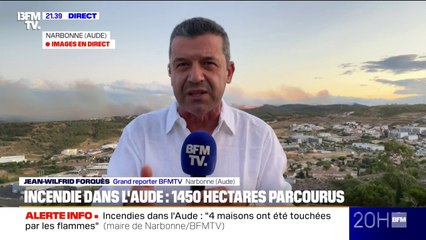 Incendie dans l'Aude: 1450 hectares brûlés, l'A9 et l'A61 coupées