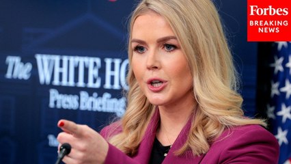 Karoline Leavitt Calls On Dems To 'Tone Down Their Rhetoric' Against ICE Following Shooting In Texas